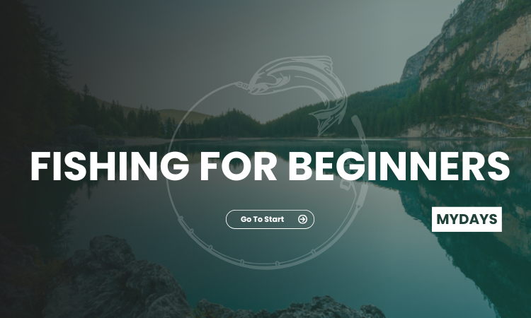 A Beginner's Guide to Fishing: Essential Tips and Gear for Getting Started