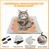 Waterproof And Insulated Heating Pet House MTECP005